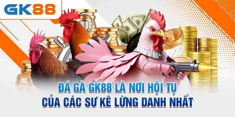 Nơi hội tụ trận đấu đá gà hấp dẫn nhất
