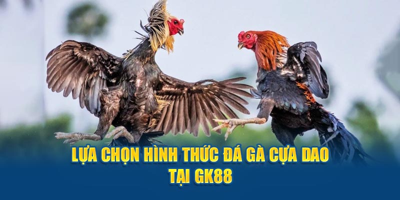 Lựa chọn hình thức đá gà cựa dao tại GK88