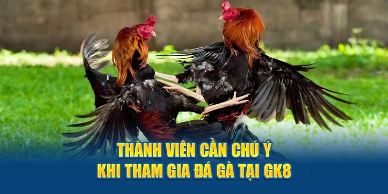 Thành viên cần chú ý  khi tham gia đá gà tại GK8